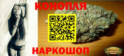 гашик Кинель