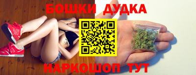 прущие крисы Кингисепп