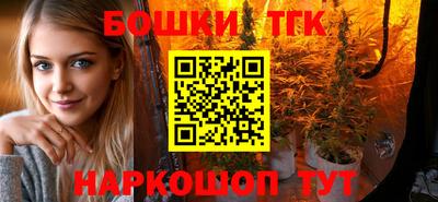 прущие крисы Кингисепп