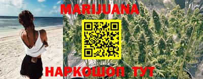 гашик Кинель