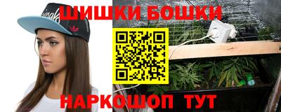 прущие крисы Кингисепп