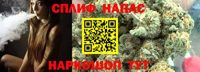 гашик Кинель