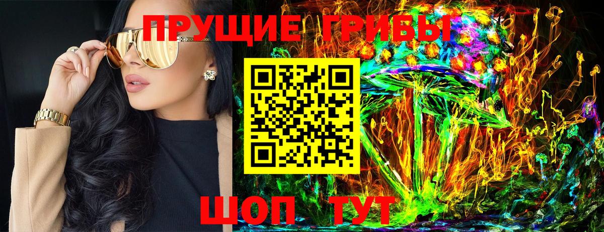 Псилоцибиновые грибы Cubensis Киров